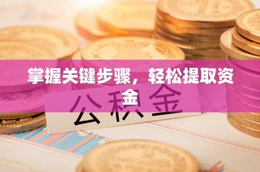 香山掌握关键步骤，轻松提取资金